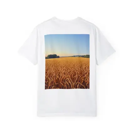 Golden Wheat Field Clear Summer Sky