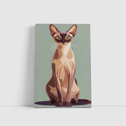 Tonkinese Cat Illustration Sage Green Background