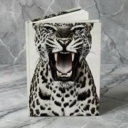 Roaring Leopard Close Up White Background