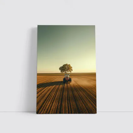 Red Tractor Plowing Field Lone Tree