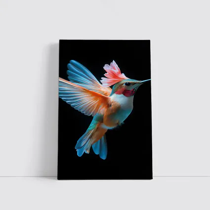 Colorful Hummingbird Flying on Black Background