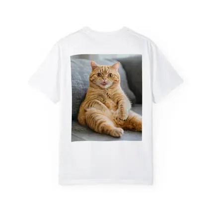 Funny Orange Tabby Cat on Gray Sofa