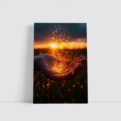Hand Holding Golden Light Sunset Field