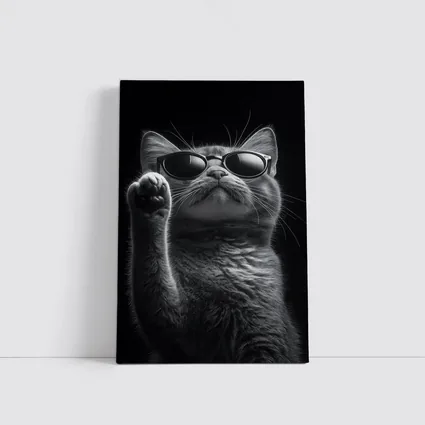 Cool Cat Wearing Sunglasses Black Background