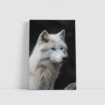 White Wolf Blue Eyes Dark Background