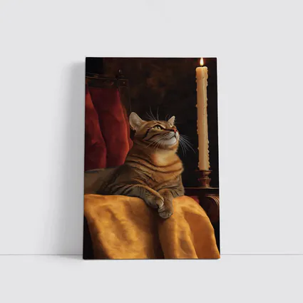 Tabby Cat Resting By Candlelight Dark Background