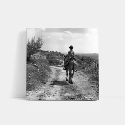 Boy Riding Donkey On Rural Path