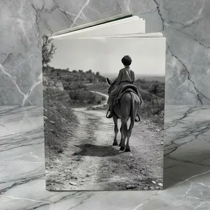 Boy Riding Donkey On Rural Path