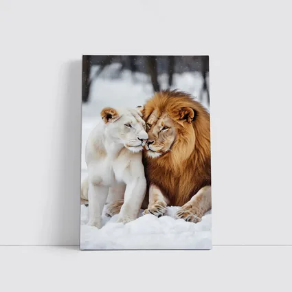 White Lioness and Lion in Snow