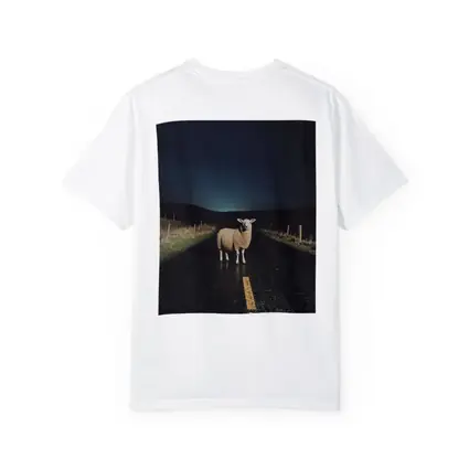 Sheep Standing on Road at Night