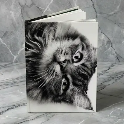 Maine Coon Cat Black and White Portrait