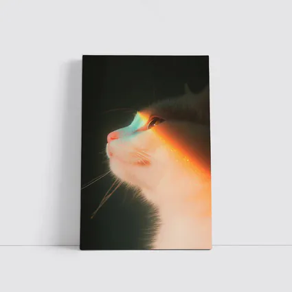 White Cat Profile With Rainbow Light Glow