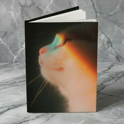 White Cat Profile With Rainbow Light Glow