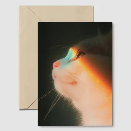 White Cat Profile With Rainbow Light Glow