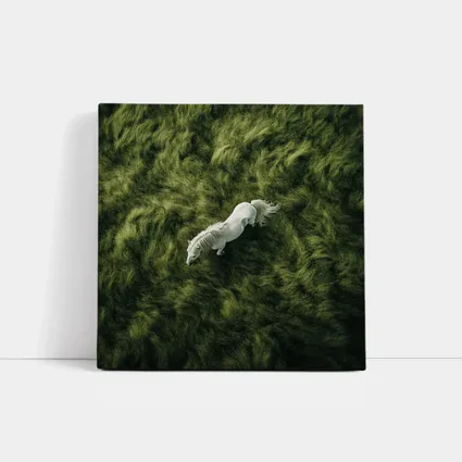 White Horse Running Over Green Grass