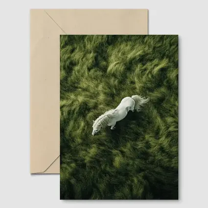 White Horse Running Over Green Grass