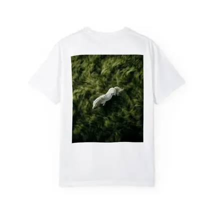 White Horse Running Over Green Grass