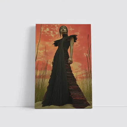 Dark Gown Fashion Portrait Red Sky
