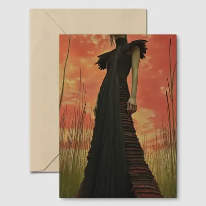 Dark Gown Fashion Portrait Red Sky