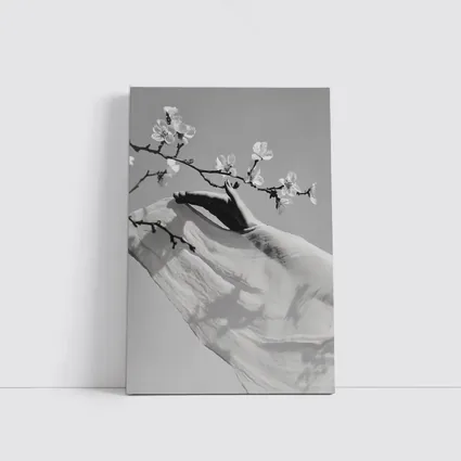 Hand Reaching Cherry Blossom Branch Black White