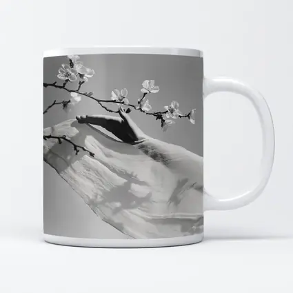 Hand Reaching Cherry Blossom Branch Black White
