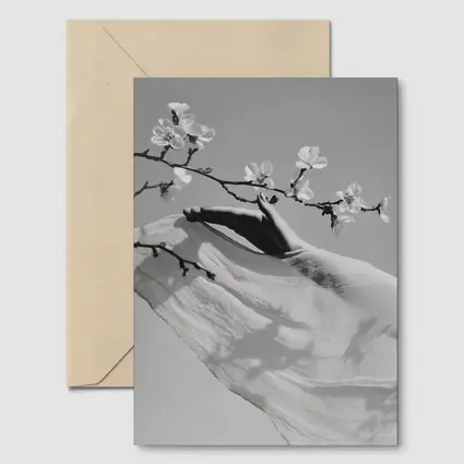 Hand Reaching Cherry Blossom Branch Black White
