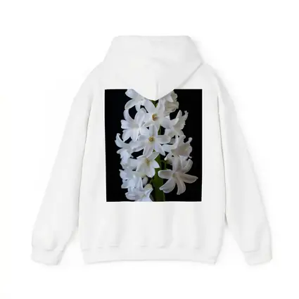 White Hyacinth Flower Black Background