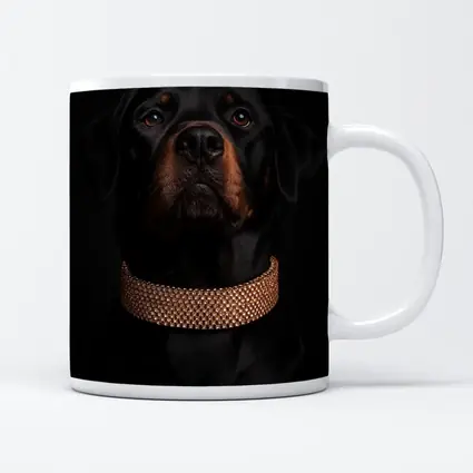 Rottweiler Dog Gold Collar Black Background
