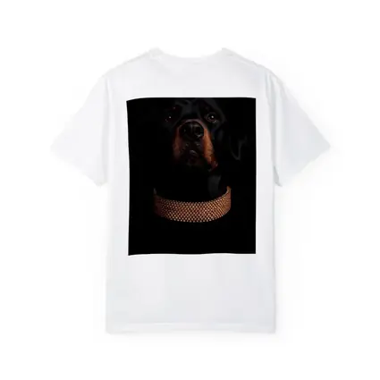 Rottweiler Dog Gold Collar Black Background