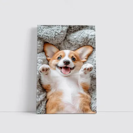 Happy Corgi Puppy Lying On Gray Blanket