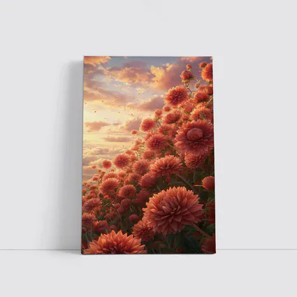Red Chrysanthums Field Golden Sunset Sky
