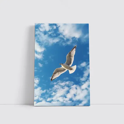 Seagull Flying Against Blue Cloudy Sky