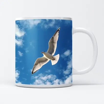 Seagull Flying Against Blue Cloudy Sky