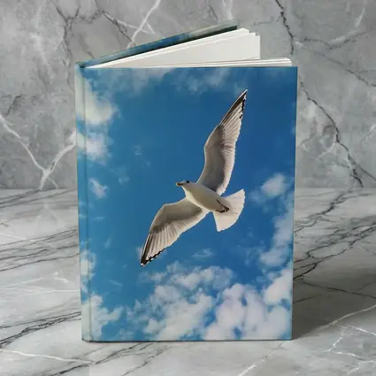 Seagull Flying Against Blue Cloudy Sky