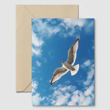 Seagull Flying Against Blue Cloudy Sky