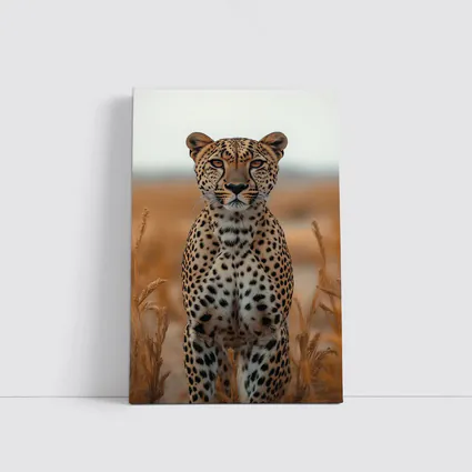 Leopard Standing In Golden Savanna Grass