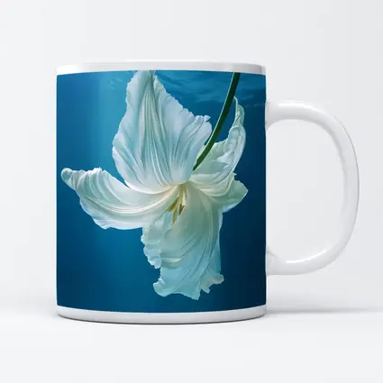 White Tulip Floating Underwater Blue Background