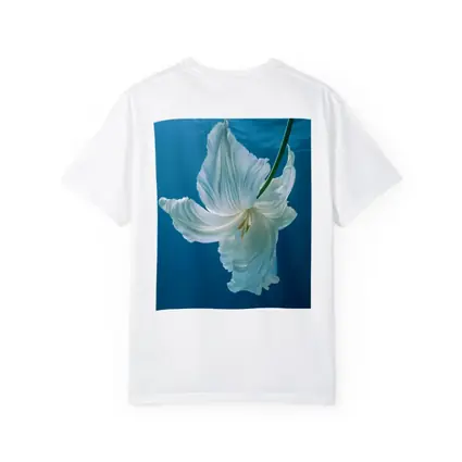 White Tulip Floating Underwater Blue Background