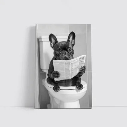 French Bulldog Reading Newspaper On Toilet