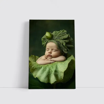 Sleeping Baby On Green Lotus Leaf