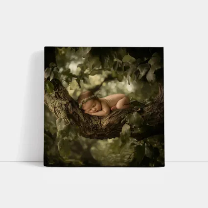Sleeping Newborn Baby On Forest Tree