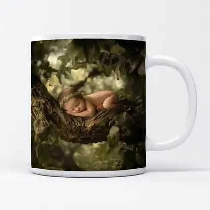 Sleeping Newborn Baby On Forest Tree