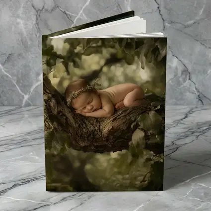 Sleeping Newborn Baby On Forest Tree