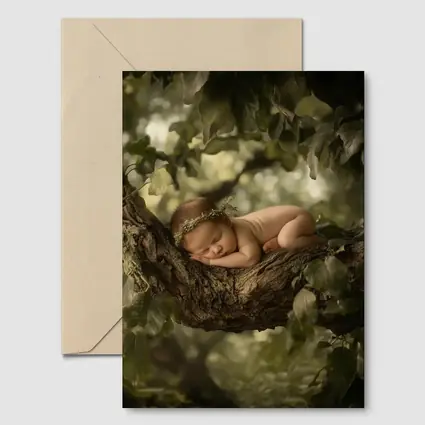 Sleeping Newborn Baby On Forest Tree