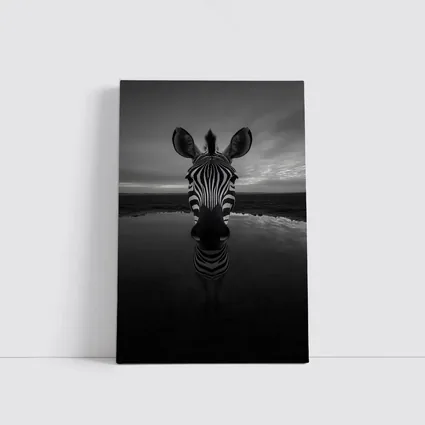 Zebra Portrait Black and White Water Reflection