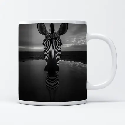 Zebra Portrait Black and White Water Reflection