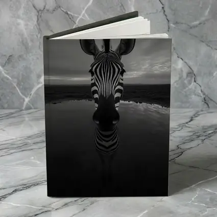 Zebra Portrait Black and White Water Reflection