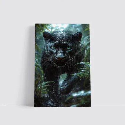 Black Panther Stalking Through Rainy Jungle