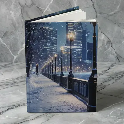 Snowy City Waterfront Walk At Night