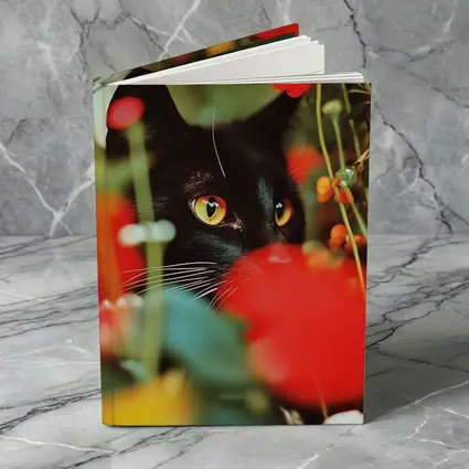 Black Cat Peeking Through Red Flowers